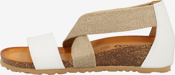 IGI&CO Sandalen met riem in Wit