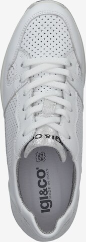 IGI&CO Sneaker in Weiß