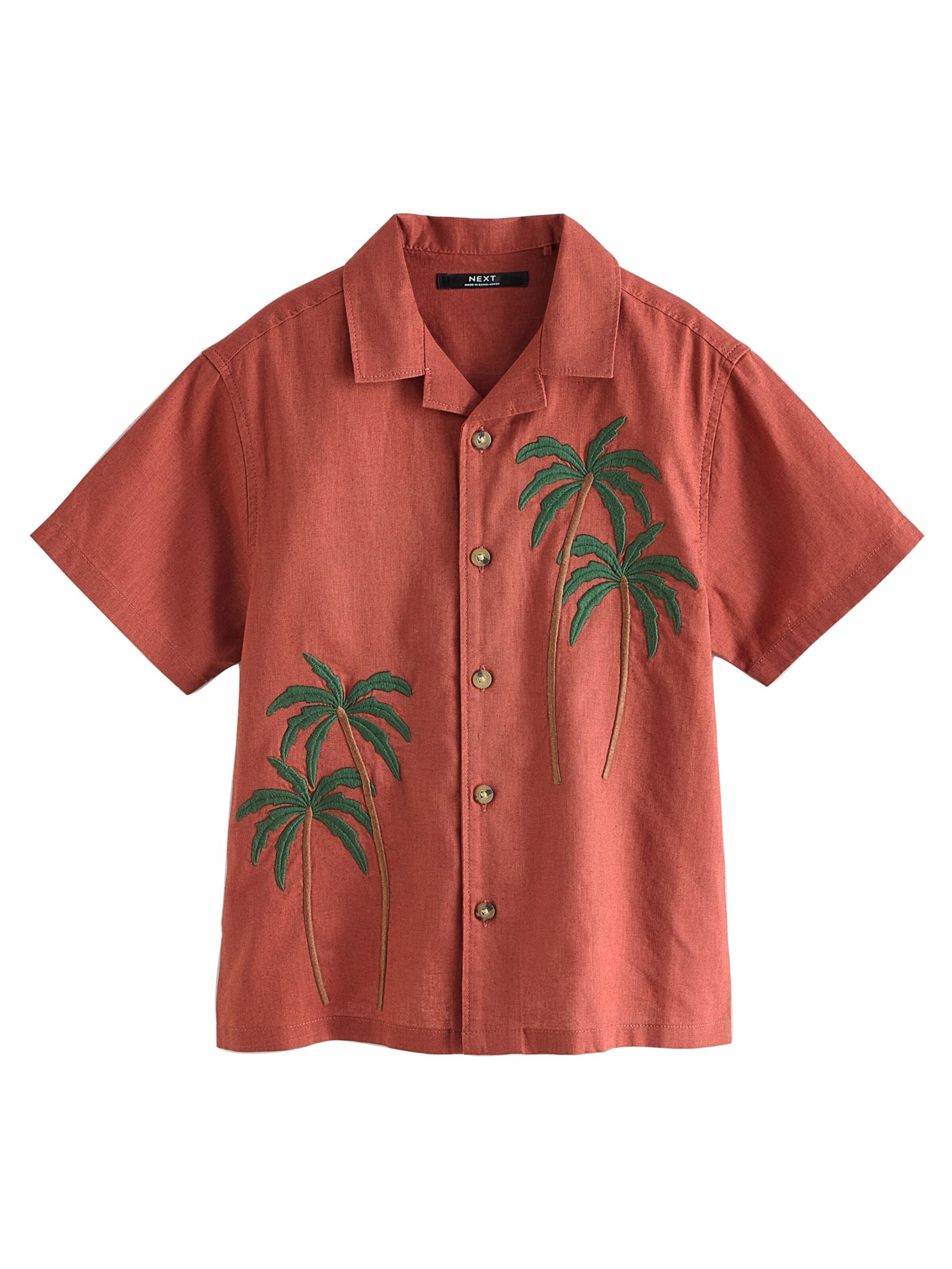 Next Regular Fit Hemd in Braun: Vorderseite