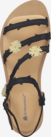 EL NATURALISTA Strap Sandals in Black