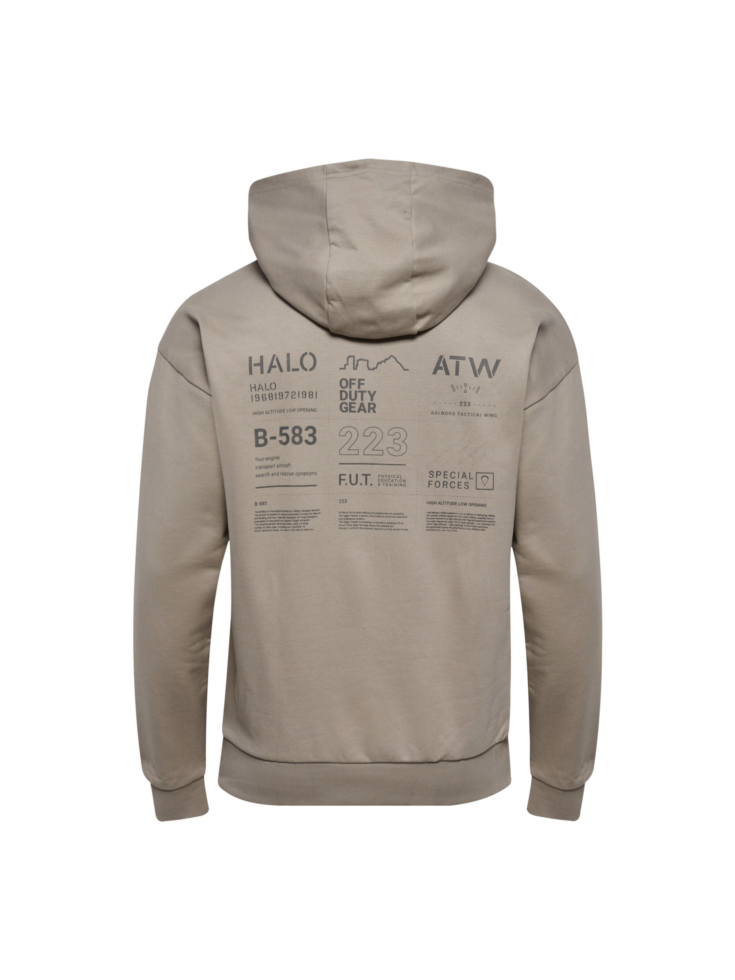HALO Sweatshirt in Grau