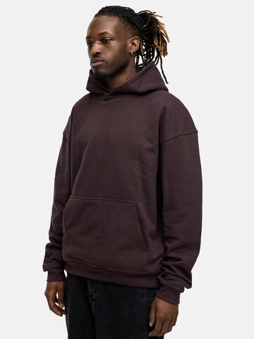 Daily Cotton Sweatshirt 'DCAUSTIN'‌ in Braun