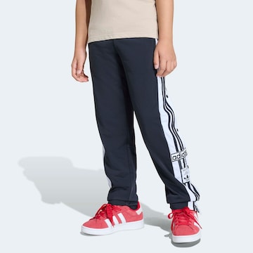 ADIDAS ORIGINALS Regular Функционален панталон в черно: отпред