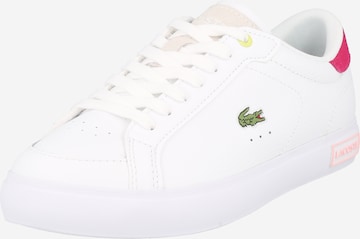 Baskets basses 'POWERCOURT' LACOSTE en blanc : devant