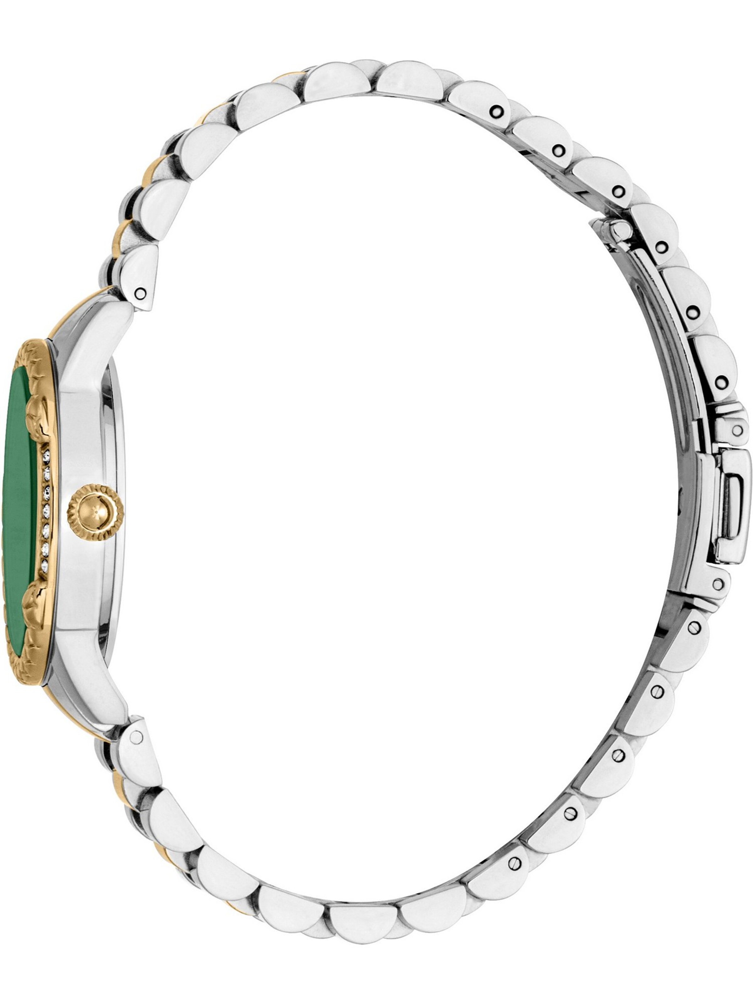 Just Cavalli Analog watch in Green