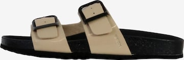 GEOX Pantolette in Braun: Vorderseite