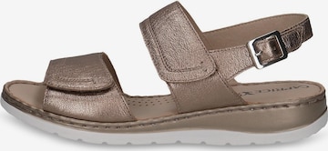 CAPRICE Sandals in Brown