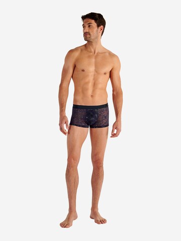 HOM Trunk ' Purple ' in Blau