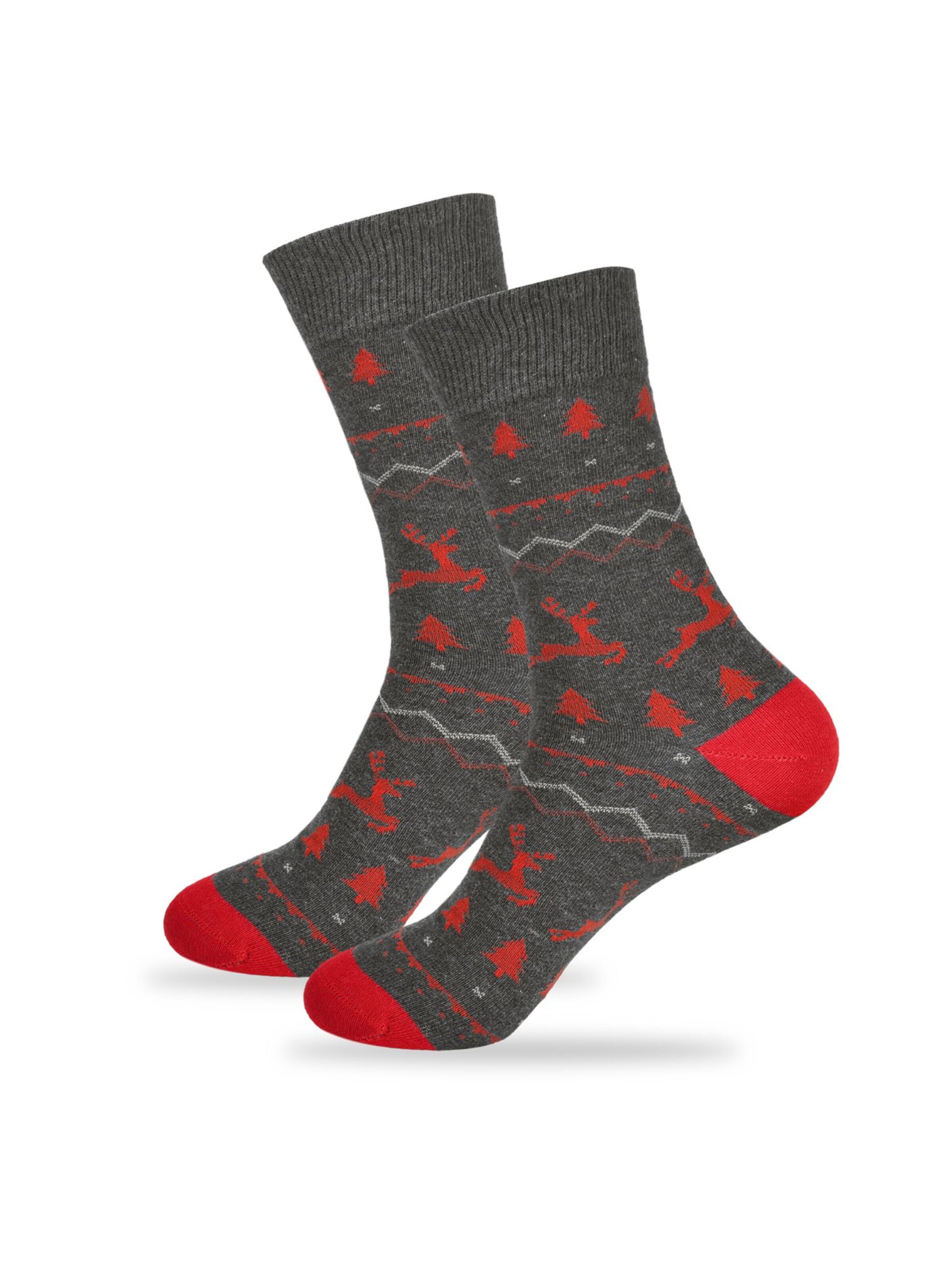 Lee Cooper Socks in Mixed colors