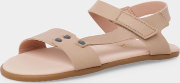 Pisamonas - Sandalias en beige: frente
