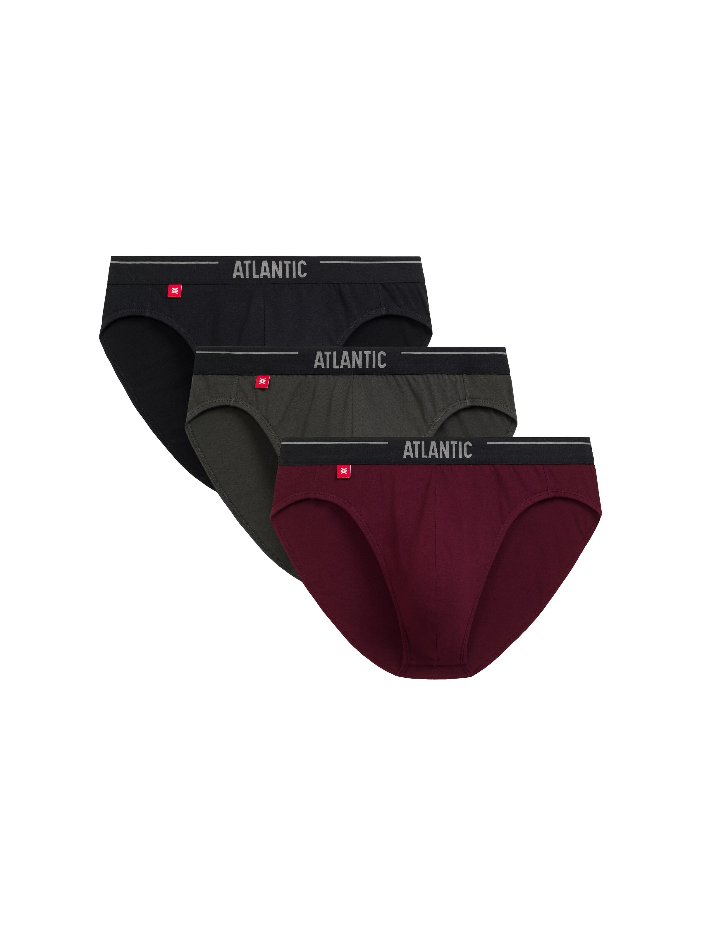 Atlantic Panty 'ATLANTIC' in Purple: front