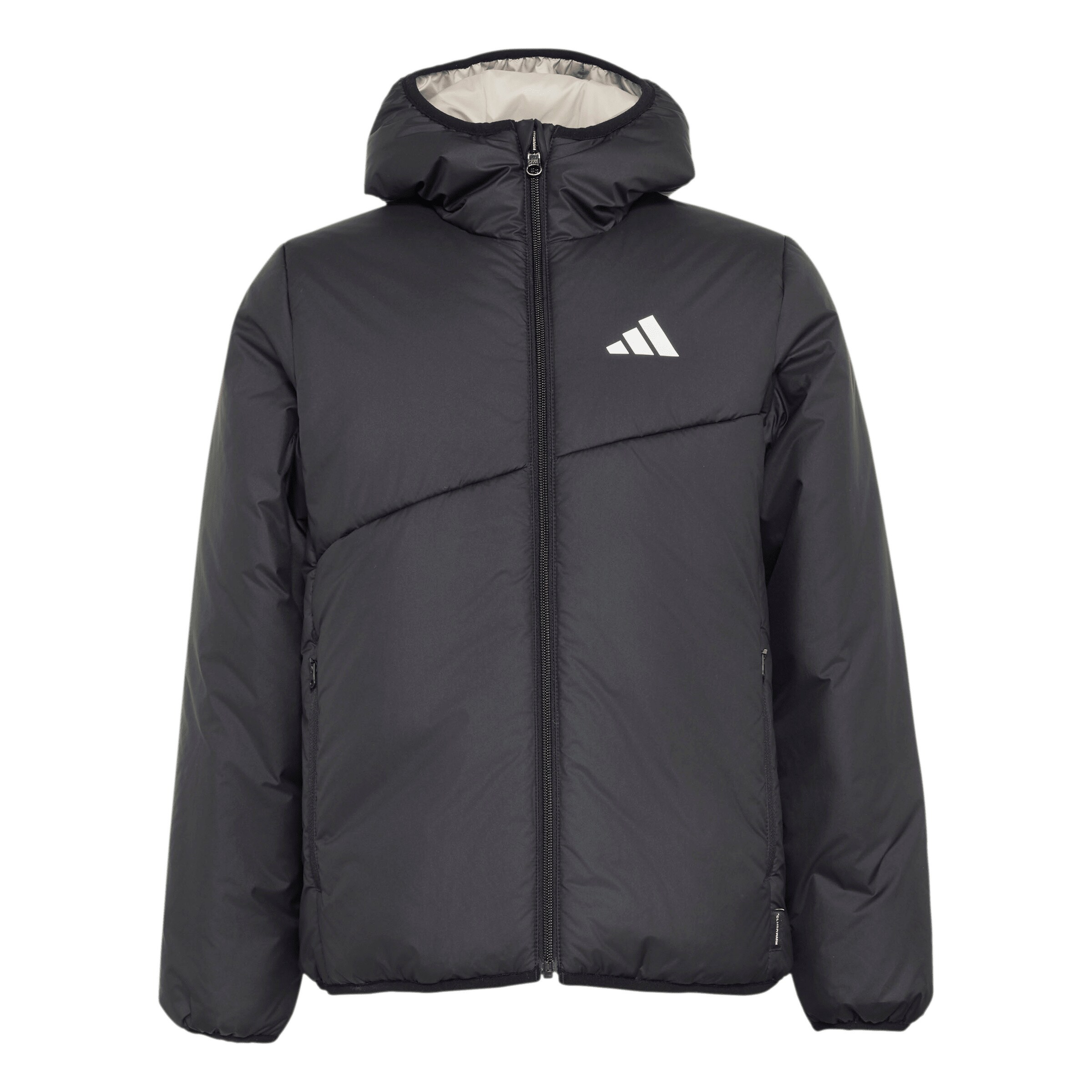 ADIDAS TERREX Zunanja jakna | črna barva: sprednja stran