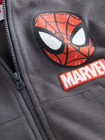 Veste de survêtement Next en gris