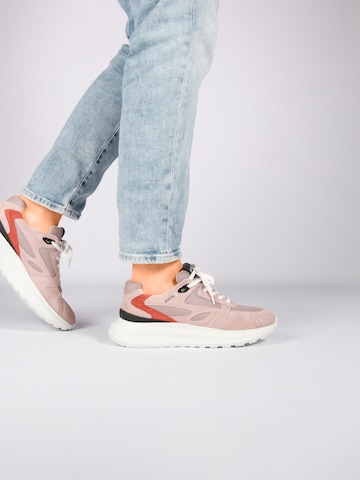 Baskets basses 'MADISON - AL460' BLACKSTONE en rose