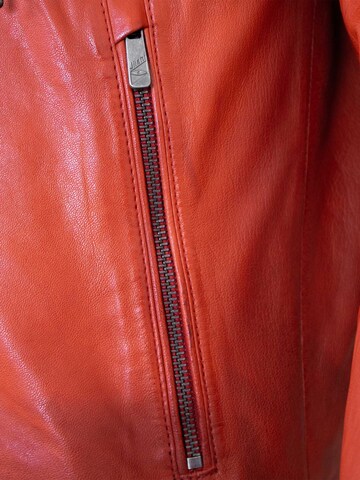 Jilani Between-season jacket 'Cody' in Red