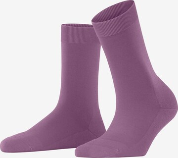 FALKE Socken 'ClimaWool' in Pink: Vorderseite