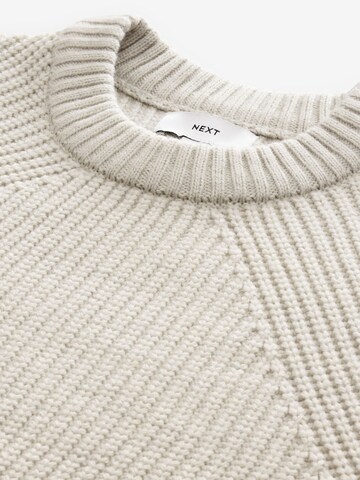 Next Pullover in Beige