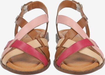 PIKOLINOS Strap Sandals in Mixed colors