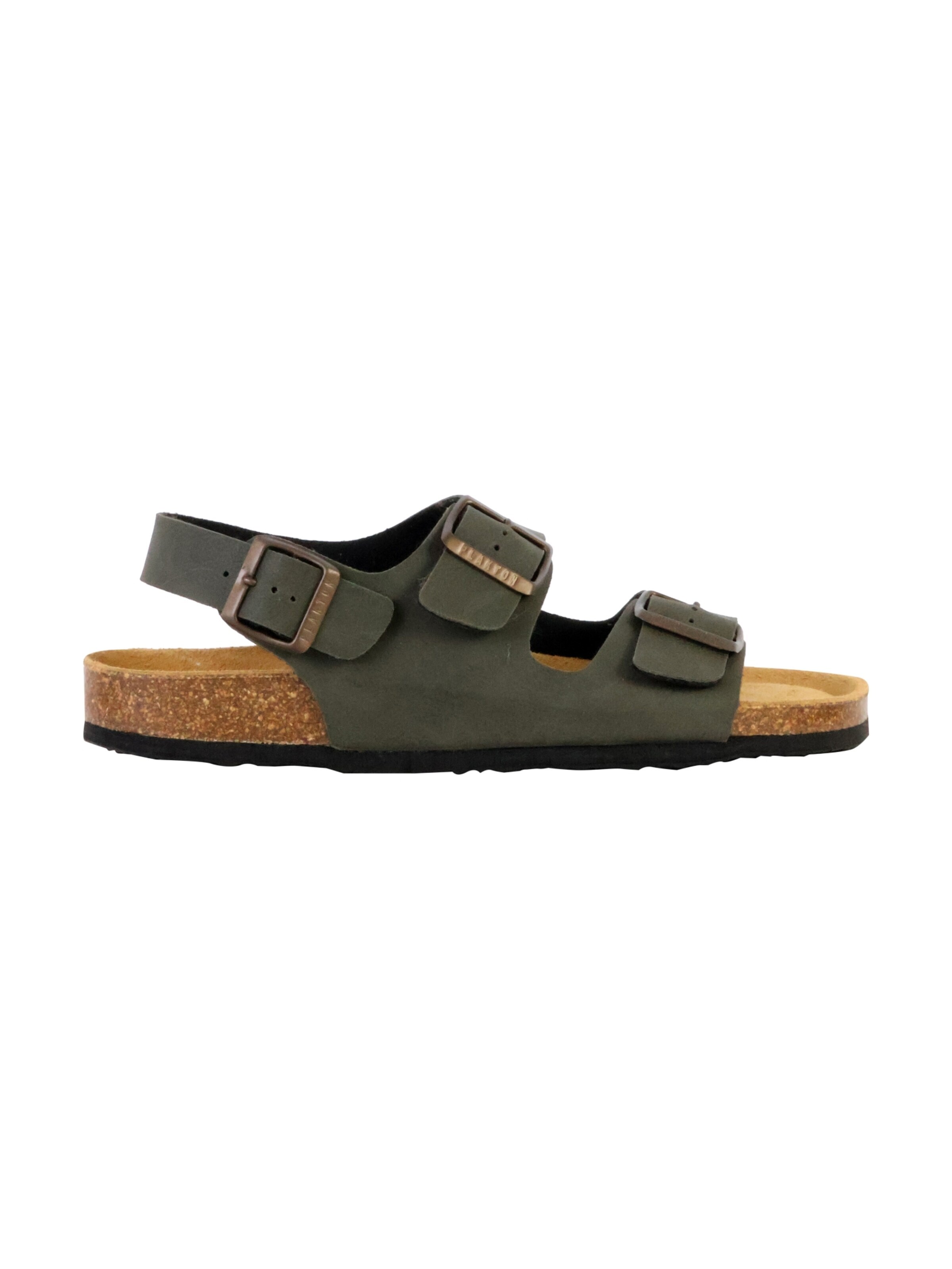 Zoccoletto di Plakton in verde