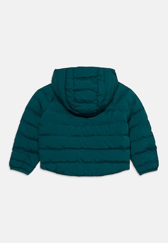 Veste outdoor 'PERRITO' THE NORTH FACE en vert