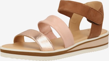 ARA Strap Sandals 'Durban' in Brown: front