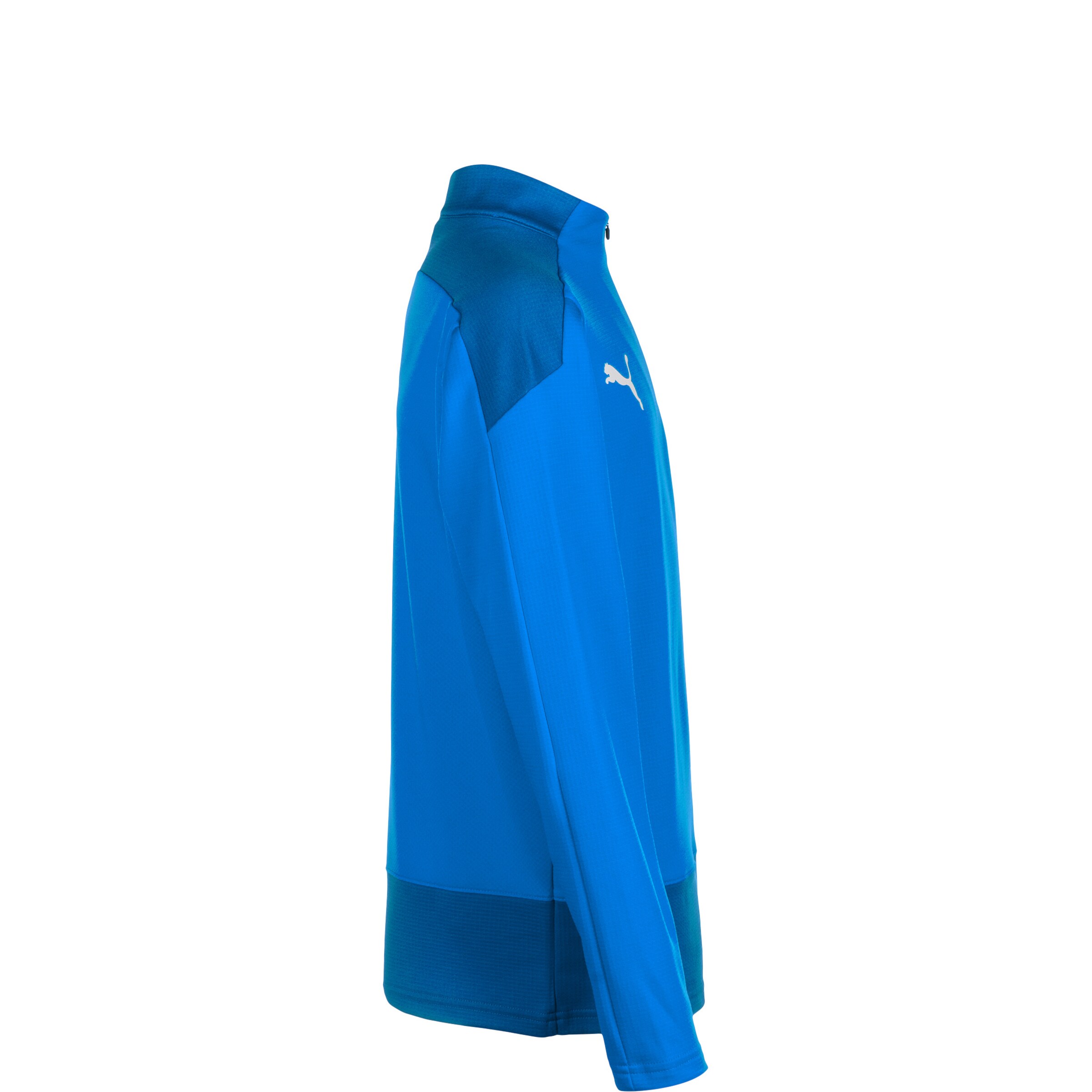 PUMA Bluza sportowa 'Team Goal 23' w kolorze niebieski