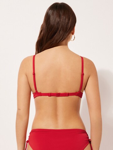 CALZEDONIA Push-up Bikinitop 'INDONESIA' in Rot