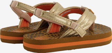 REEF Sandals 'Little Ahi' in Gold