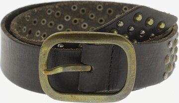 Pepe Jeans Belt in One size in Black: front