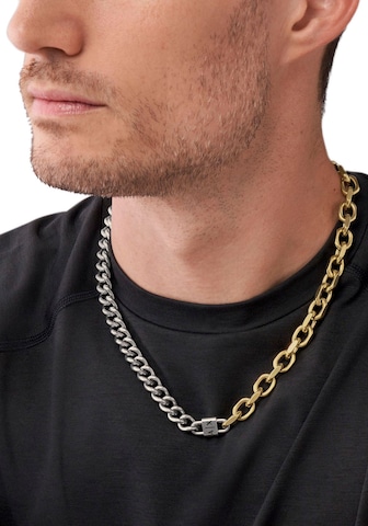ARMANI EXCHANGE Necklace in Gold: front