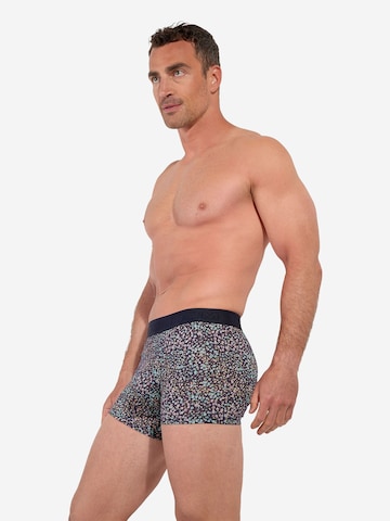 Boxers ' Vineyard ' HOM en bleu