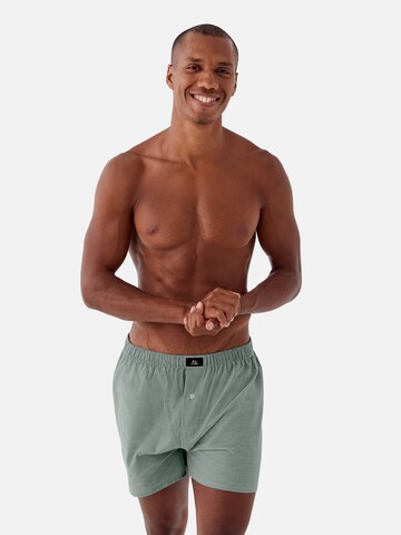 DANISH ENDURANCE Boxer shorts in Green: front