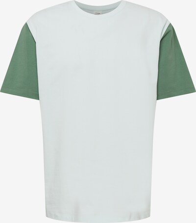 ABOUT YOU x Alvaro Soler Shirt 'Ramon' in grün / hellgrün / mischfarben, Produktansicht