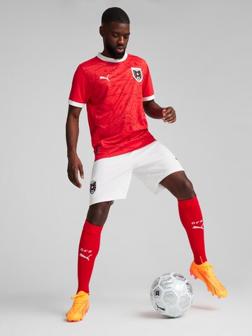 PUMA - Camiseta de fútbol 'Österreich 2024' en rojo