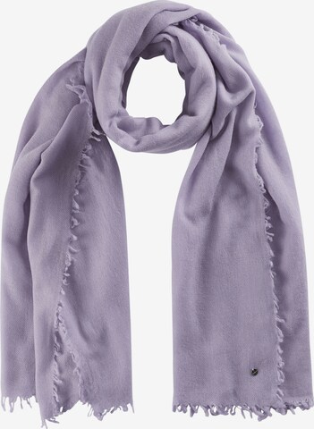 CODELLO Scarf in Purple: front