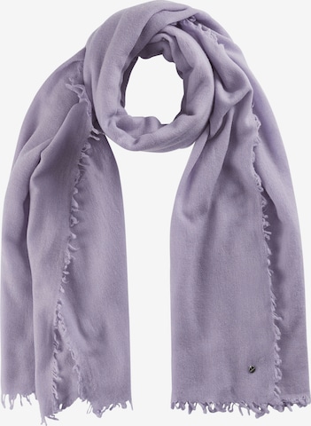 CODELLO Scarf in Purple: front