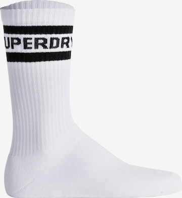 Calzino sportivo di Superdry in bianco