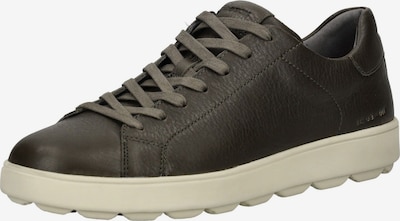 GEOX Baskets basses en vert foncé, Vue avec produit