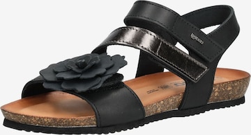Sandalo con cinturino di IGI&CO in nero: frontale