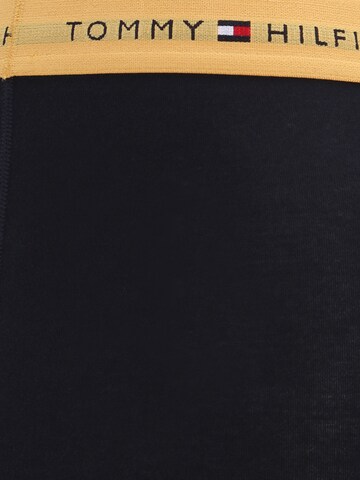 Tommy Hilfiger Underwear Regular Boxershorts 'Essential' in Blau