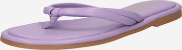 Tongs 'Finn' Dorothy Perkins en violet : devant