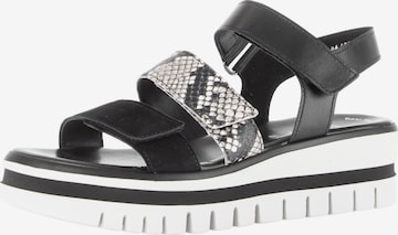 Sandales GABOR en noir : devant