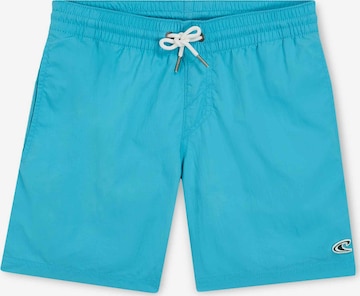 Shorts de bain 'Vert 14' O'NEILL en bleu : devant