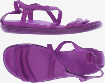 ECCO Sandals & High-Heeled Sandals in 37 in Purple: front