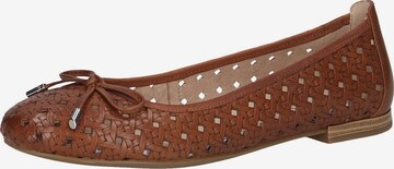 CAPRICE Ballet Flats in Brown: front