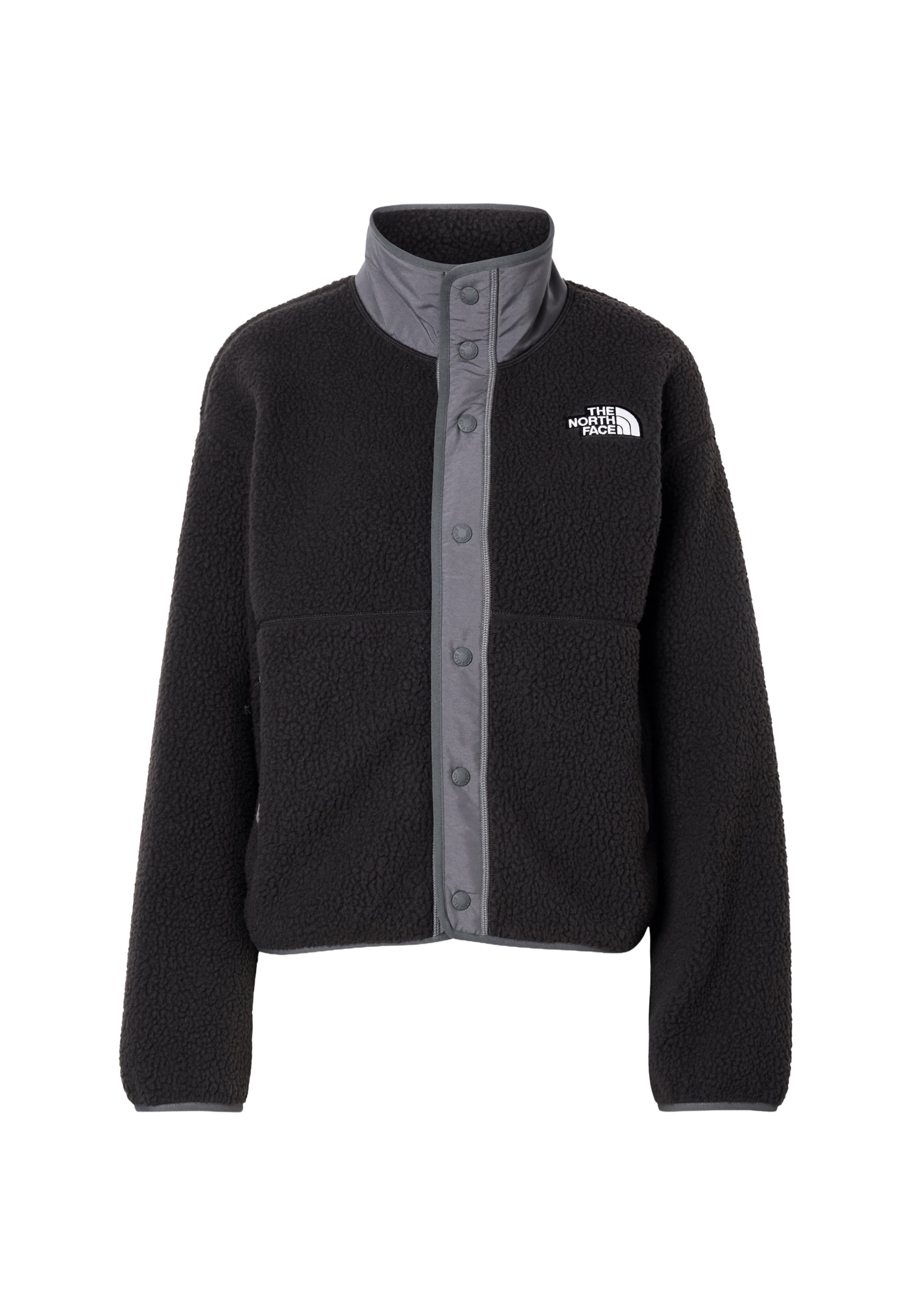 THE NORTH FACE Funktionsfleecejacke 'Cragmont' in Schwarz: Vorderseite
