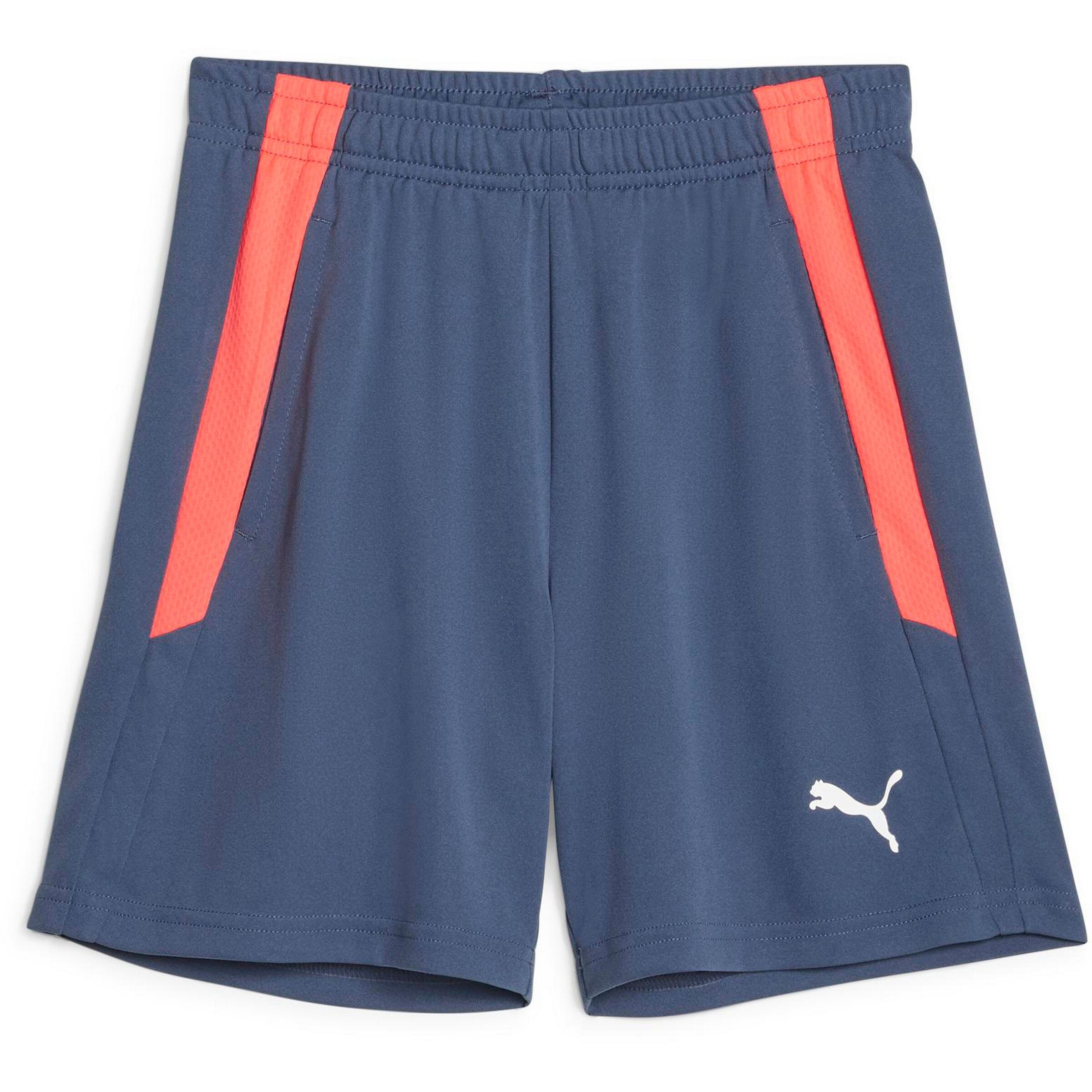 PUMA Regular Pants 'teamLiga' in Blue: front