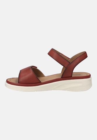 JOSEF SEIBEL Sandaal 'Sevran 01' in Rood