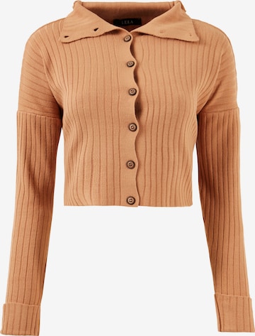 LELA Knit Cardigan 'Lela' in Brown: front