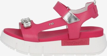 Nero Giardini Sandals in Pink